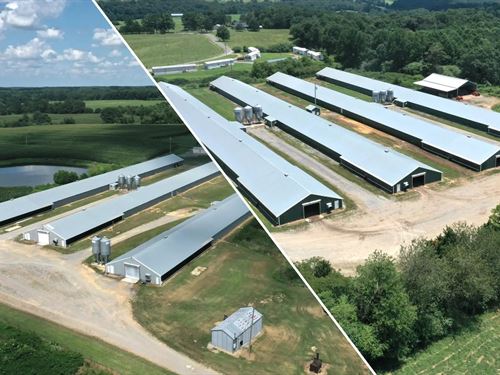 Baileyton Farms : Baileyton : Cullman County : Alabama