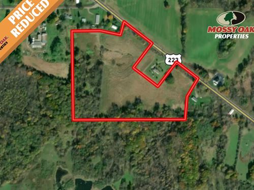 26 Acres of Pristine Hunting Ground : Manitou Beach : Lenawee County : Michigan