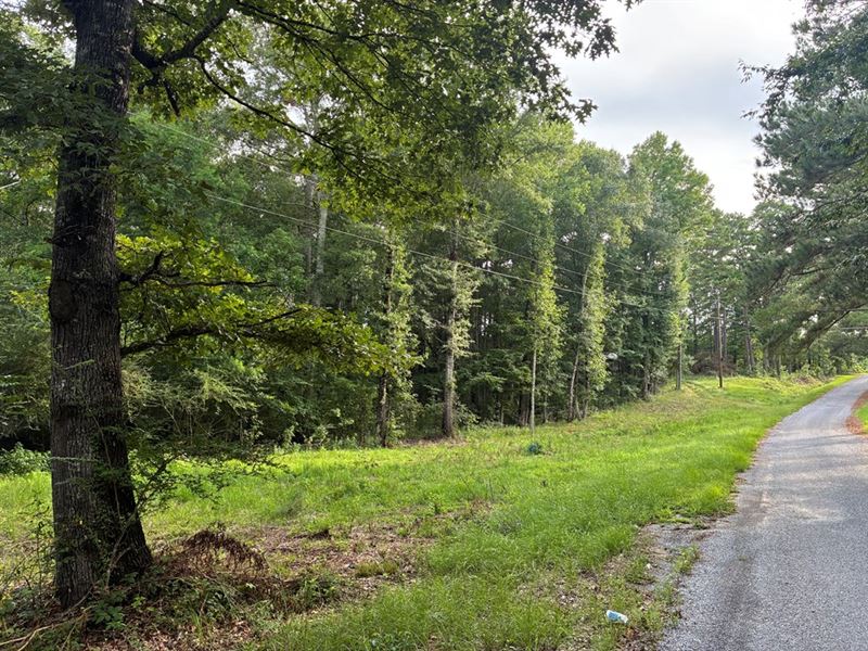 Ten Acre Lake Proximity : Wesson : Lincoln County : Mississippi