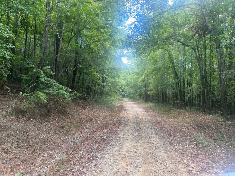 Flint Forest Parcel 2 : Roberta : Crawford County : Georgia