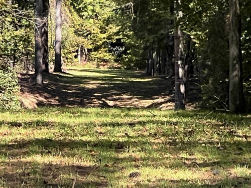 Flint Forest Parcel 5 : Roberta : Crawford County : Georgia