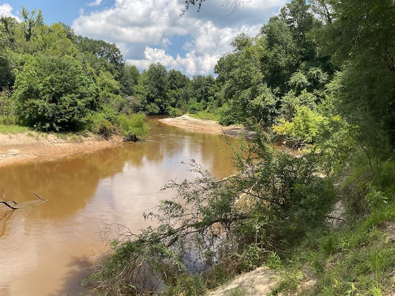 Burnout Rd Tract 1 317.59 Acres : Brantley : Crenshaw County : Alabama
