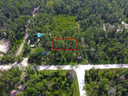 Own Land Near Madison Blue Spring : Live Oak : Suwannee County : Florida