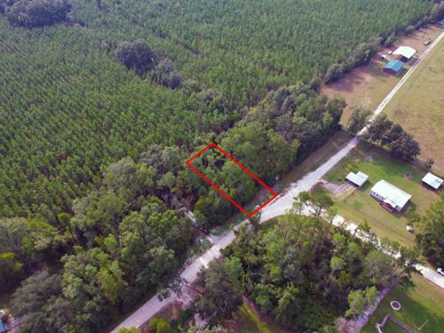 Homesite with Power on Site : Live Oak : Suwannee County : Florida