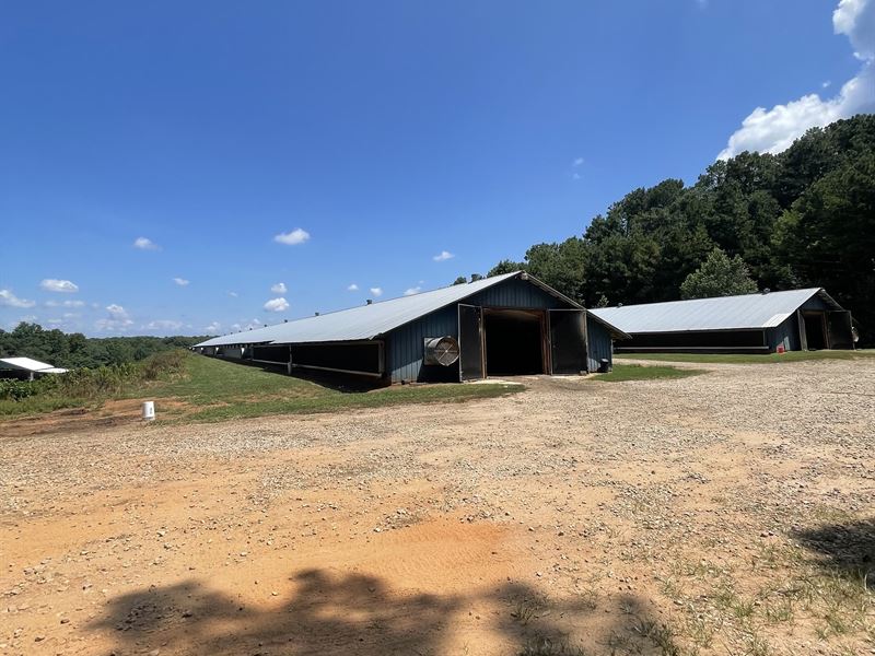 Nice Broiler Farm in Production : Danielsville : Madison County : Georgia