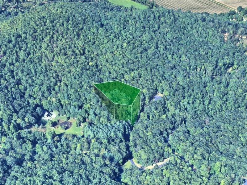 1.29 Acre Lot in Horse Shoe, NC : Horse Shoe : Henderson County : North Carolina