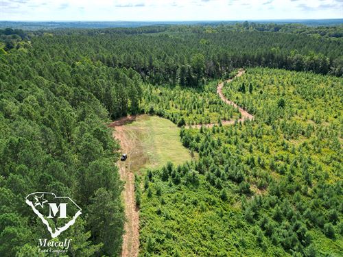 3 Incredible Hunting/Retreat Tracts : Gaffney : Cherokee County : South Carolina