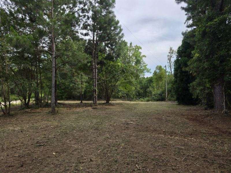 Dean Nichols Road Homesite : Portal : Bulloch County : Georgia