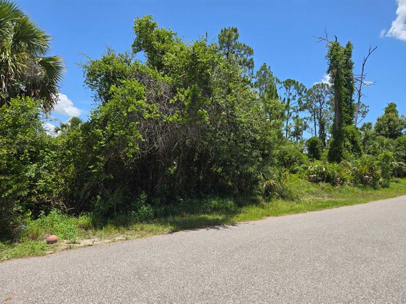 North Port Real Estate Auction : North Port : Sarasota County : Florida