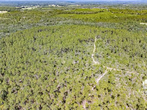 685 Ac Hard Labor Creek Tract, Tim : Chipley : Washington County : Florida