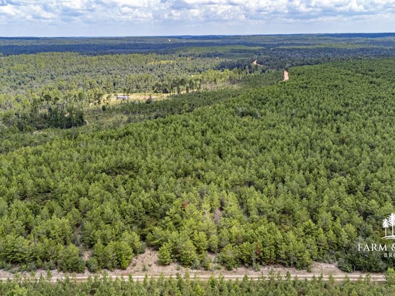 25.5 Ac Lot 1 Rural Retreat, High : Marianna : Jackson County : Florida