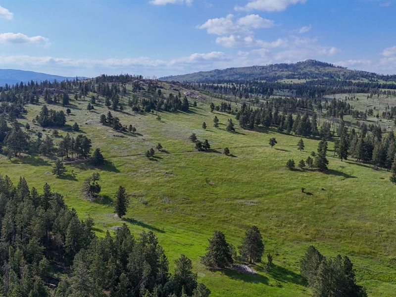 Buckhorn Camp 160 : Bellvue : Larimer County : Colorado