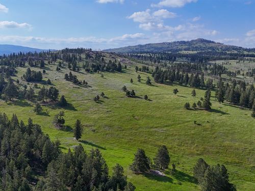 Buckhorn Camp 160 : Bellvue : Larimer County : Colorado