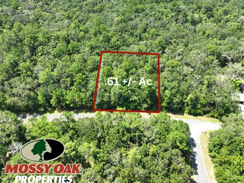 .61 Acres Camden County, GA : Waverly : Camden County : Georgia