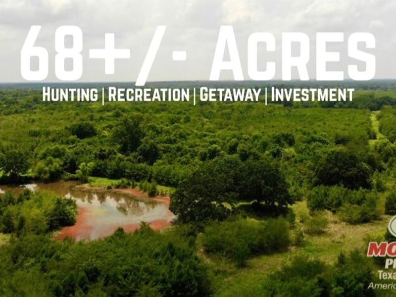 Hunt County, 68 Acres : Commerce : Hunt County : Texas