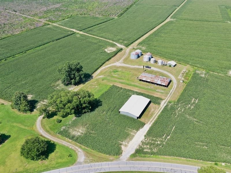 151 Acres of Farmland and Timber LA : Corapeake : Gates County : North Carolina