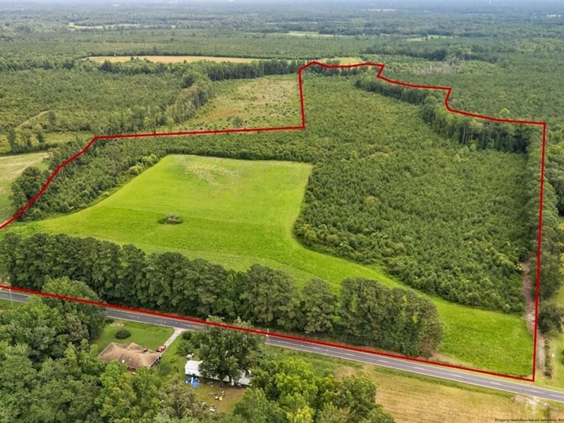 43.1 Acres of Residential and Recre : Pink Hill : Lenoir County : North Carolina