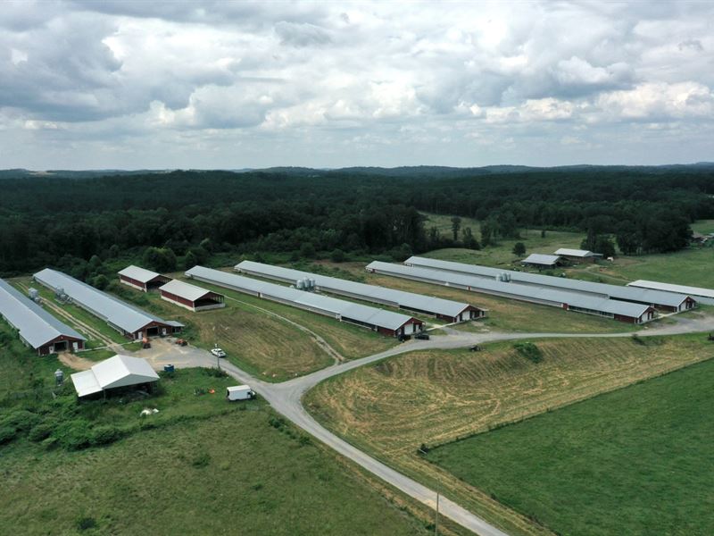 Jtc Breeder Farm : Old Fort : Bradley County : Tennessee