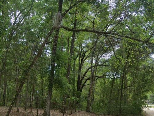 Double The Home, Just $199 Down : Satsuma : Putnam County : Florida