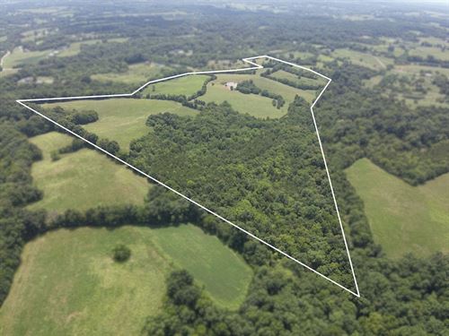 Working Farm, Pond & Power : Coxs Creek : Nelson County : Kentucky