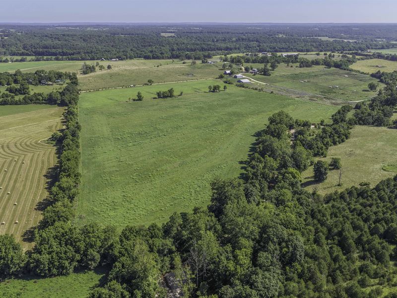 Live Water, Pasture, Fencing : Mansfield : Wright County : Missouri