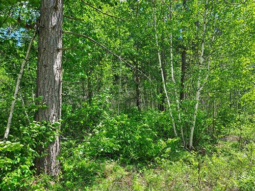 4 Acres Near Lakes and State Land : Phillips : Price County : Wisconsin