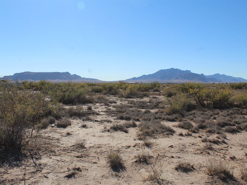1 Acre Only $200/Mo : Deming : Luna County : New Mexico