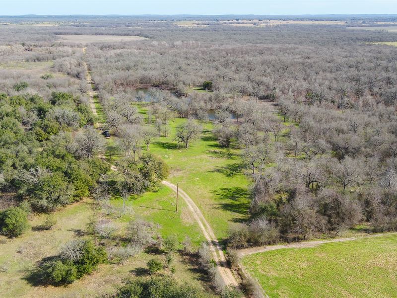 142 Acres in Milam County : Cameron : Milam County : Texas