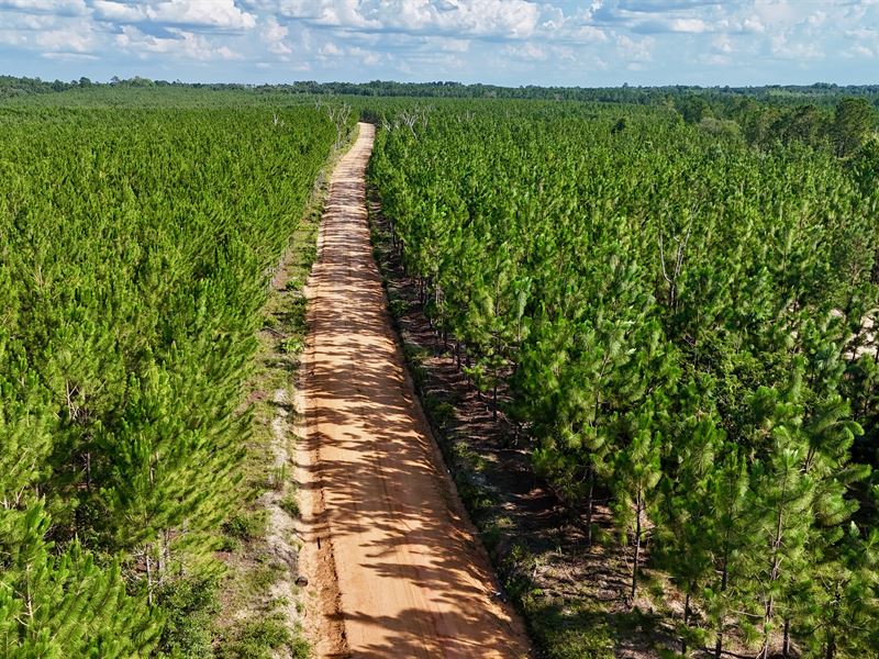 2+/- Acres on Penny Morris Rd : Baxley : Appling County : Georgia