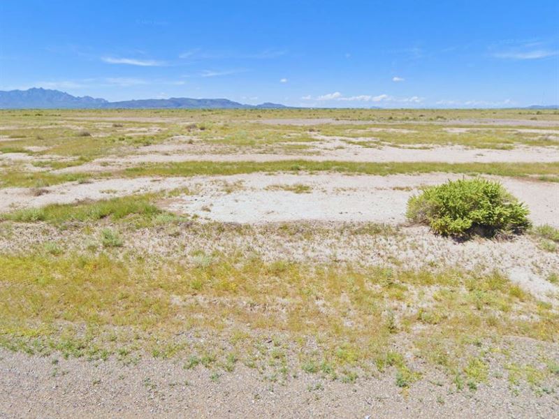 .5 Acre New Mexico Lot, No Zoning : Deming : Luna County : New Mexico