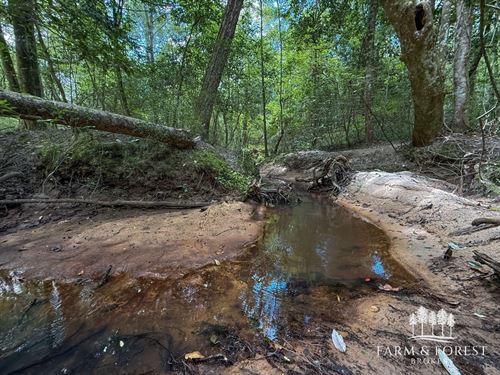 64 Ac Coffee Co, Shoal Creek Nor : Jack : Coffee County : Alabama