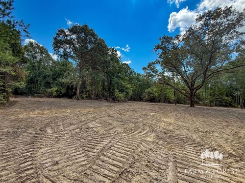 96 Acres County Road 207 : Jack : Coffee County : Alabama