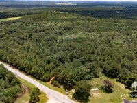 65 Ac Coffee Co, Lowry Mill Trac : Jack : Coffee County : Alabama