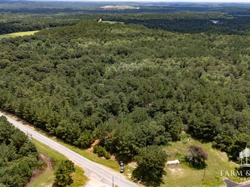 65 Ac Coffee Co, Lowry Mill Trac : Jack : Coffee County : Alabama