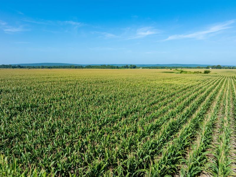 850 Acre, Row Crop and Recreati : Bradford : Independence County : Arkansas