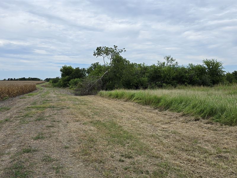 Olbrich's Pond Creek Farm : Rosebud : Falls County : Texas