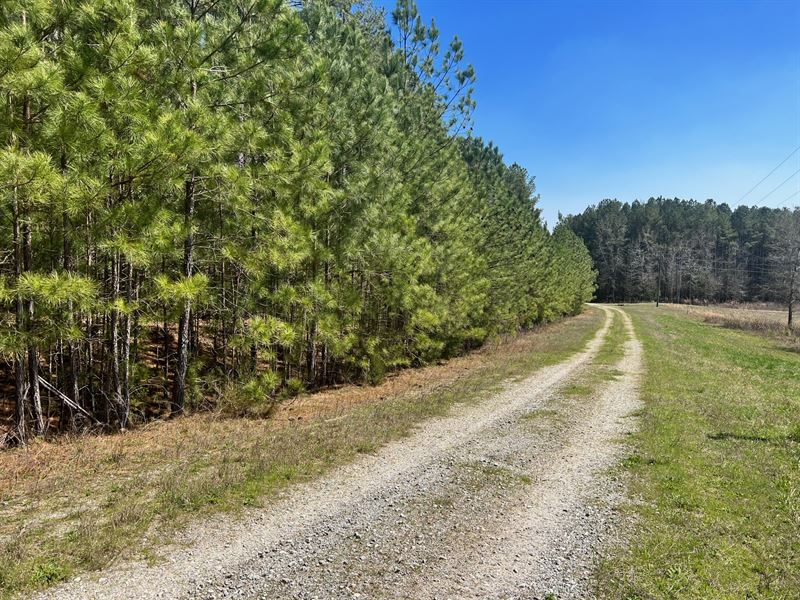 Private 6 Acres Near Lake Russell : Elberton : Elbert County : Georgia