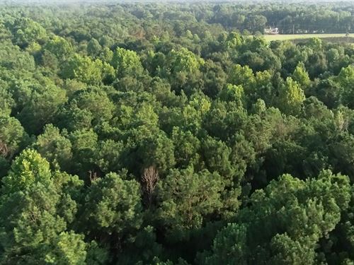 Hope Hull Lower Price Ready 2 Sell : Hope Hull : Lowndes County : Alabama