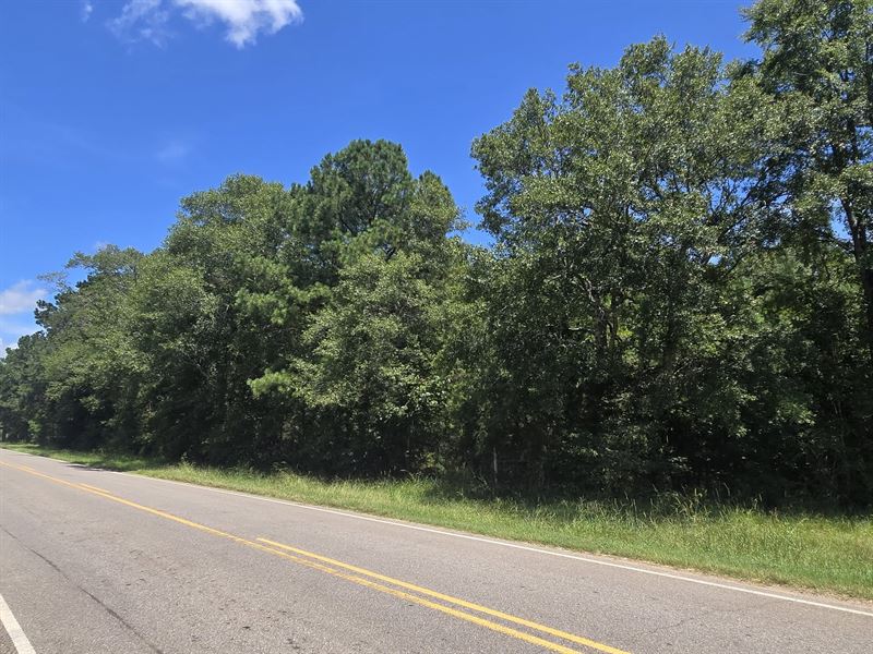 Wooded Tract Hope Hull Lowndes Co : Hope Hull : Lowndes County : Alabama
