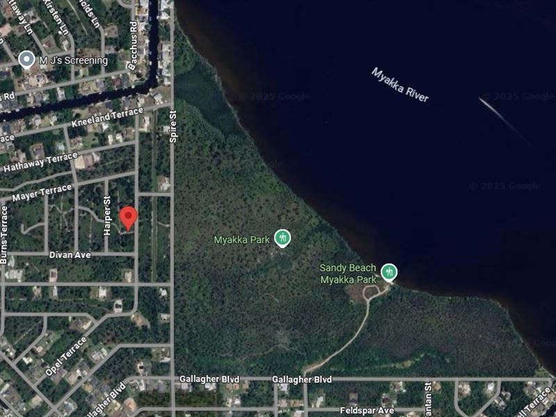 Everyday Life on Sunlit Riverbank : Port Charlotte : Charlotte County : Florida