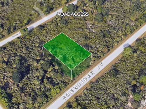 Everyday Life on Sunlit Riverbank : Port Charlotte : Charlotte County : Florida