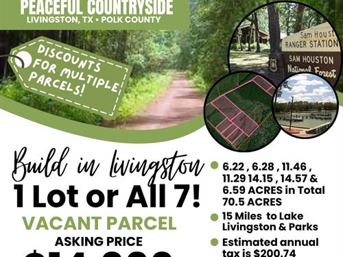 5 to 70.5 Acres in East Texas : Livingston : Polk County : Texas