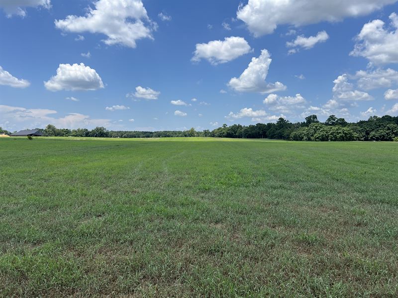 Residential Lot : Elko : Houston County : Georgia