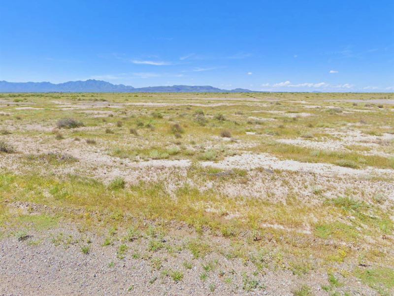 .5 Acre New Mexico Lot with No HOA : Deming : Luna County : New Mexico
