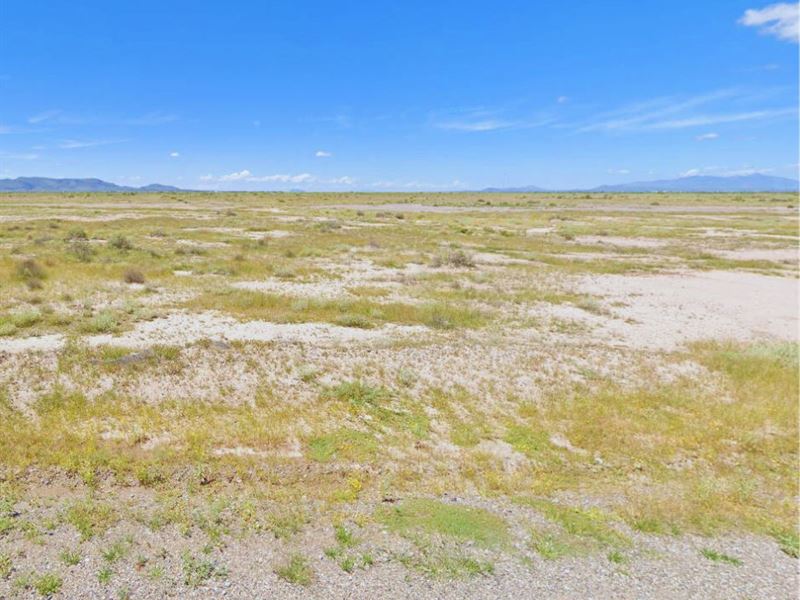 .5 Acre RV Friendly Lot in NM : Deming : Luna County : New Mexico