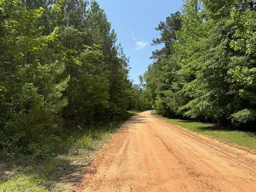 12 Acres With Tons of Potential : Society Hill : Macon County : Alabama