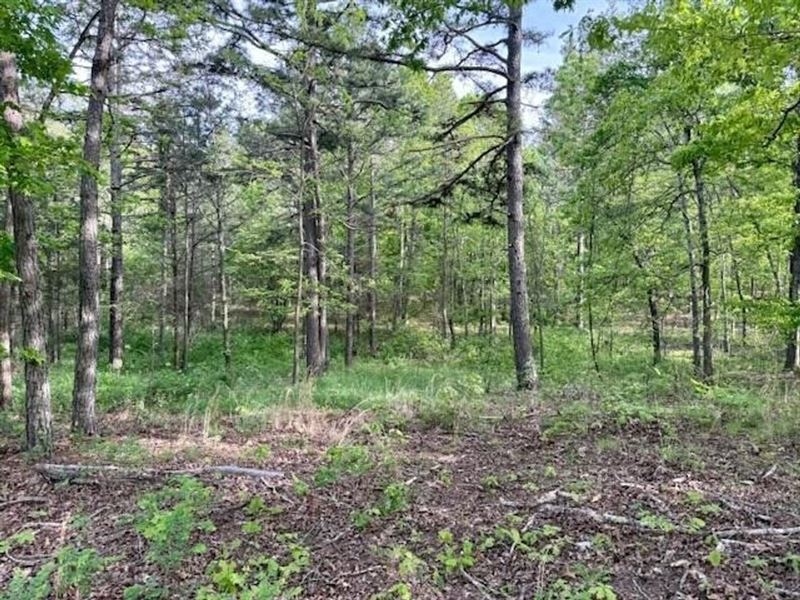 40 Acres, Fenced, Private Howell Co : Mountain View : Howell County : Missouri