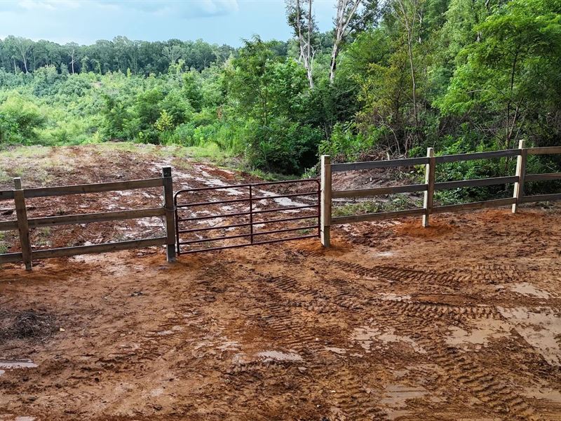 41.1 Acres in Union County, MS : New Albany : Union County : Mississippi