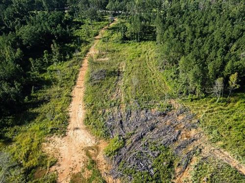 Gloster MS Hunting & Investment Lan : Gloster : Amite County : Mississippi