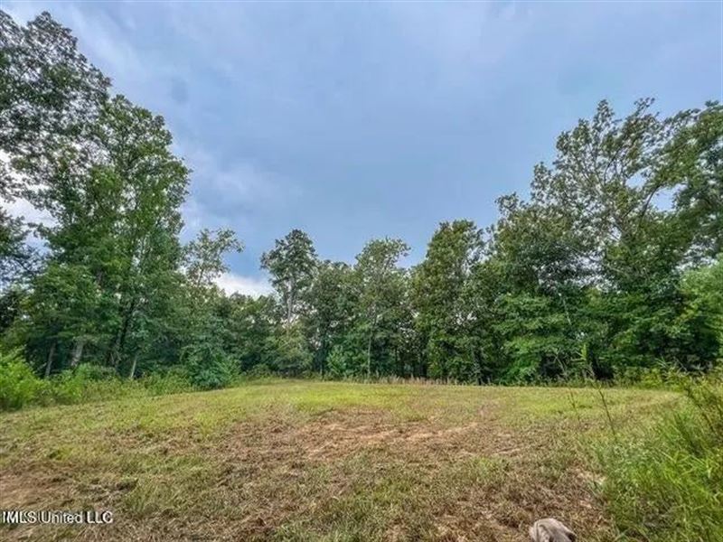 30 Acres Of Prime Hunting Property : Utica : Hinds County : Mississippi